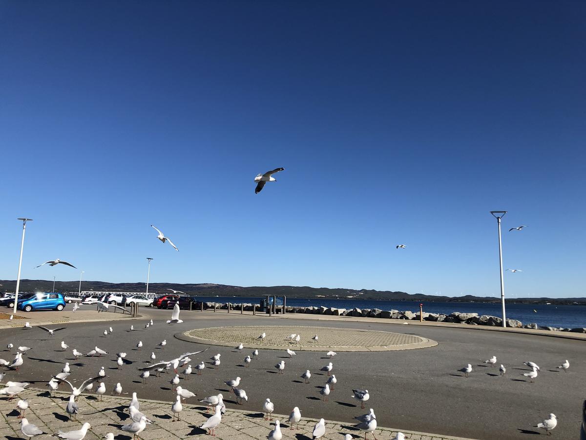 Albany Foreshore Guest House Esterno foto