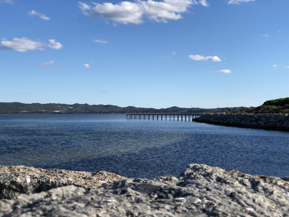 Albany Foreshore Guest House Esterno foto