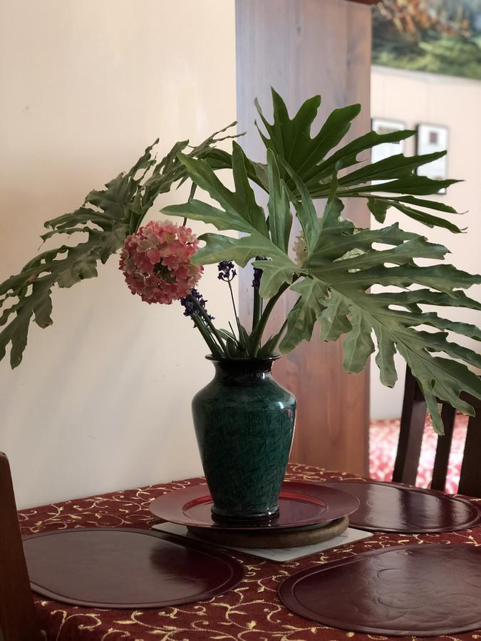 Albany Foreshore Guest House Esterno foto